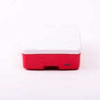 Raspberry Pi 4 official case, rear view