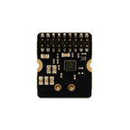 Audio Amp Module for Yukon (25W Mono Amp)